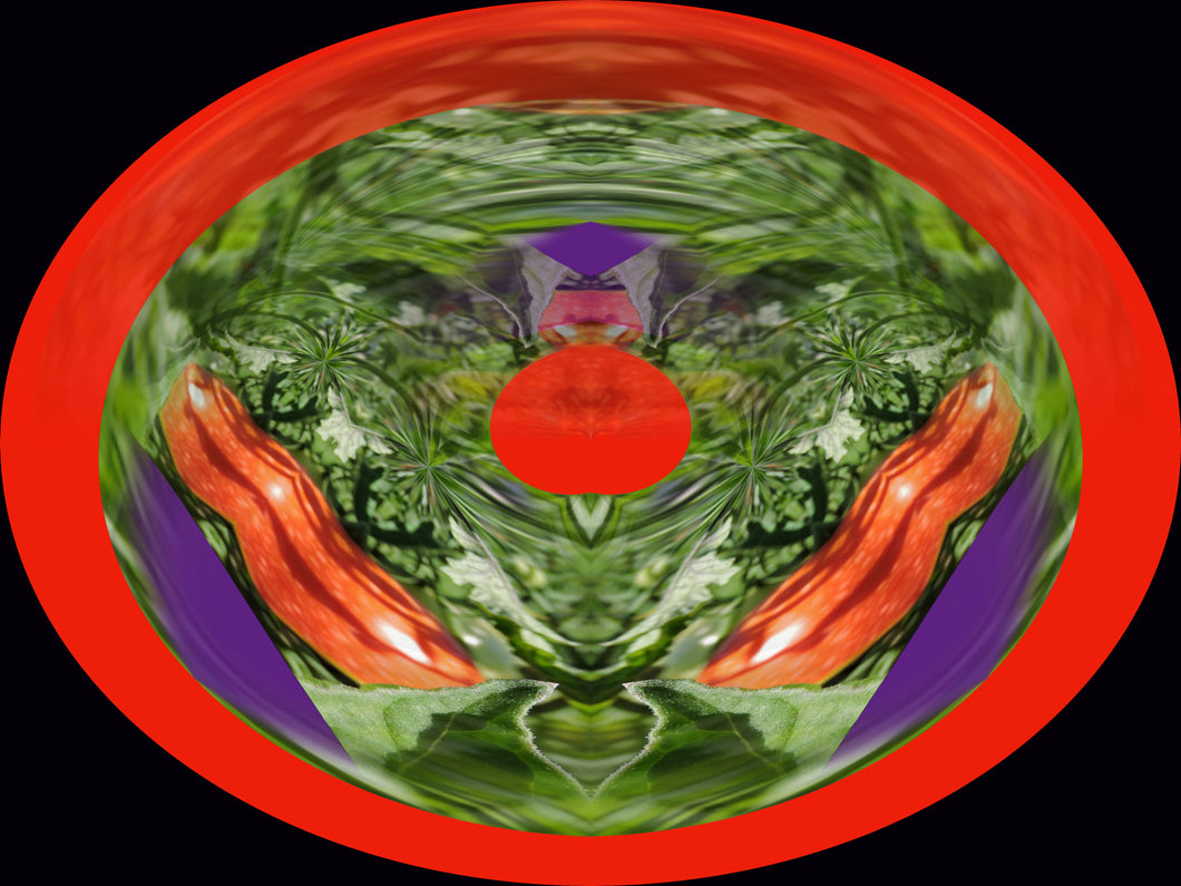 CZ Card - Citrulline Aphrodisiac Essence Flow by Cuzco Artist Channeller ( Teresa Rubiolo)