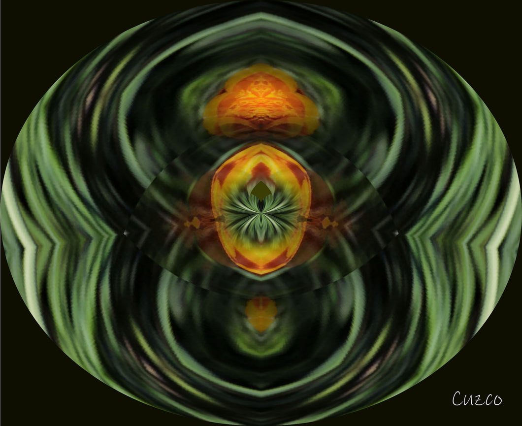 CZ Digital Art by Cuzco ( Teresa Rubiolo ) CZ TR 01
