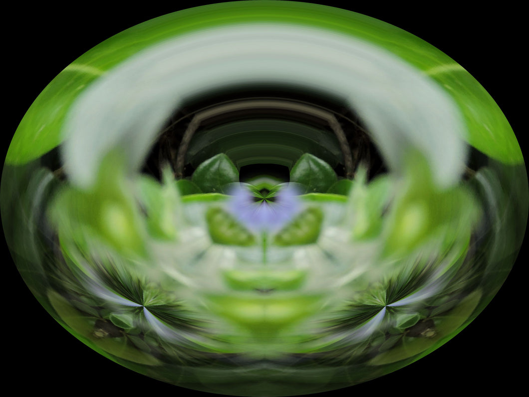 CZ Card Essence of Bergamot by Cuzco